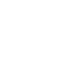 logo pv